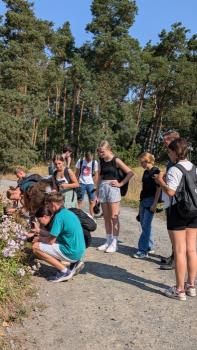 Field Studies