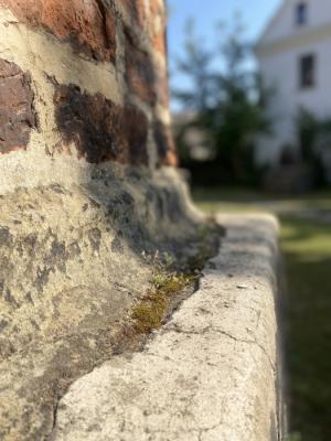 Field Studies- Schülerbeiträge