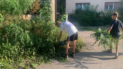 Pflege Grünanlage Gartenstraße