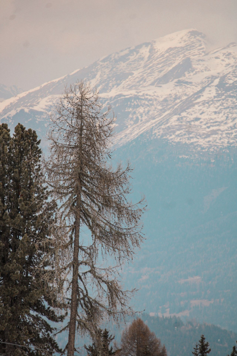 26_03_08_skikurs_murau_(8).jpg